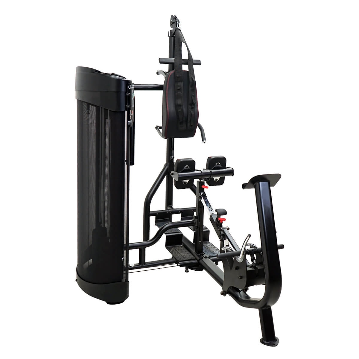 Dual Station Ab/Back